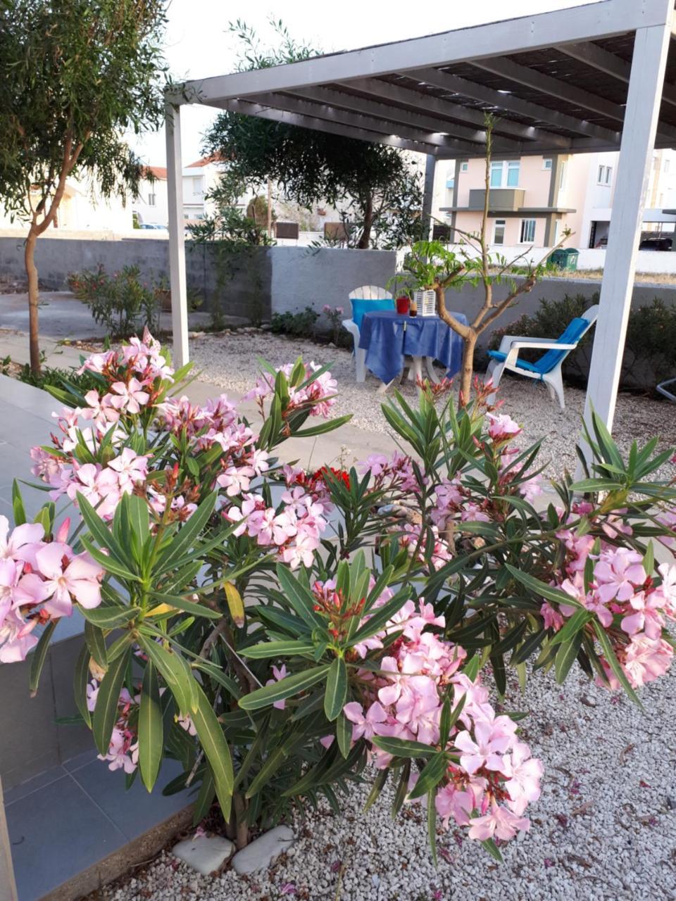 Cozy Beach House 皮尔瓦利亚 外观 照片